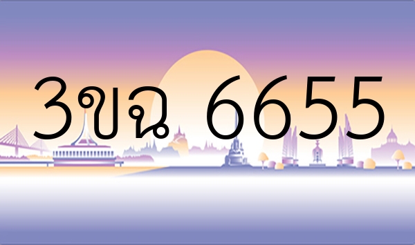 3ขฉ 6655